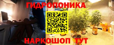 хмурый Малоярославец