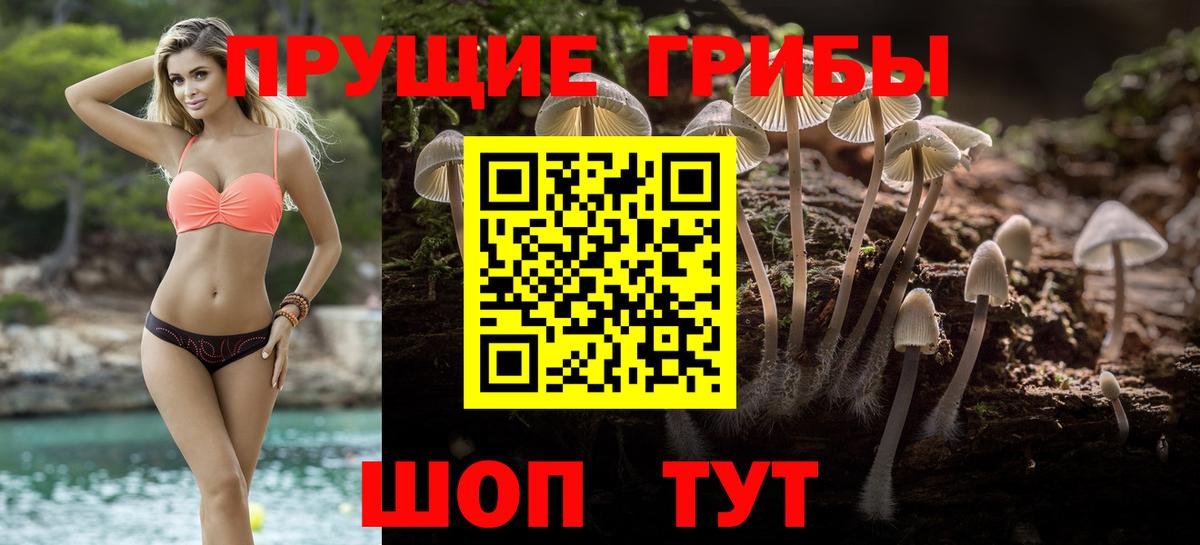 Галлюциногенные грибы MAGIC MUSHROOMS  Галлюциногенные грибы MAGIC MUSHROOMS  Вход с VPN  Верхняя Салда 